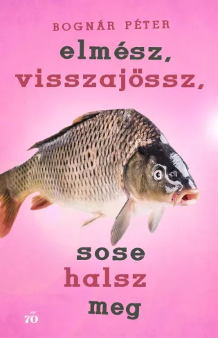 Elmész, visszajössz, sose halsz meg borító