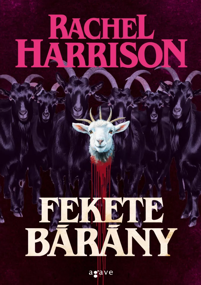 Fekete bárány borító