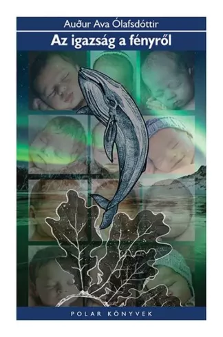 Az igazság a fényről borító