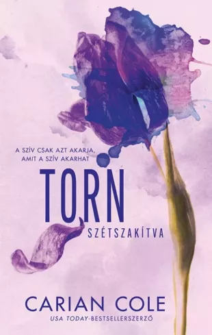 Torn - Szétszakítva borító