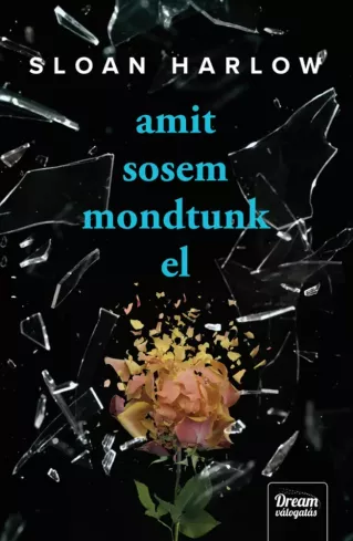 Amit sosem mondtunk el borító