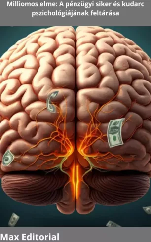 Milliomos elme borító