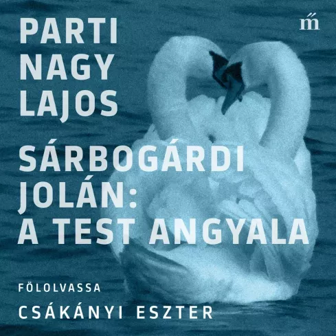 Sárbogárdi Jolán: A test angyala borító