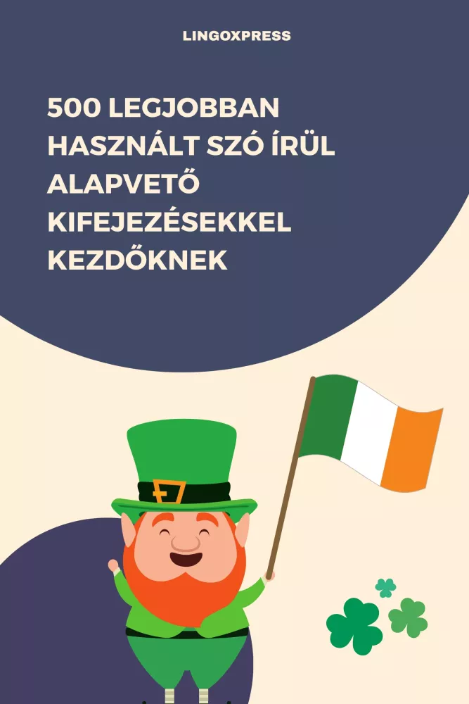 500 legjobban használt szó Írül alapvető kifejezésekkel kezdőknek borító