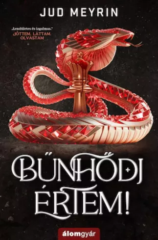 Bűnhődj értem! borító