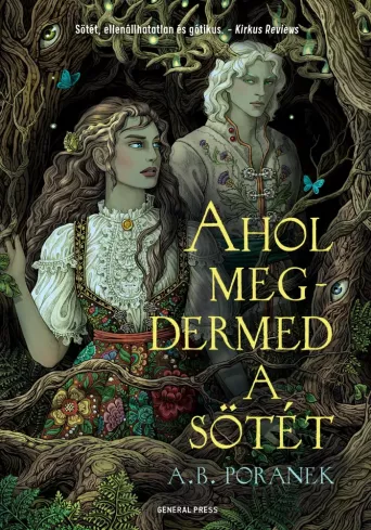 Ahol megdermed a sötét borító