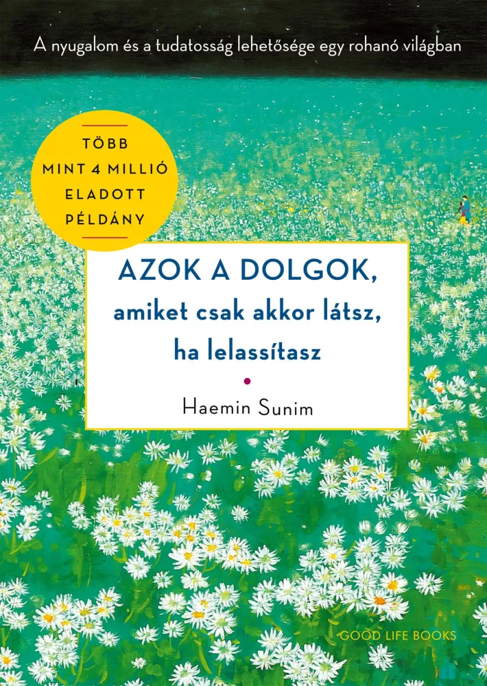 Azok a dolgok, amiket csak akkor látsz, ha lelassítasz borító