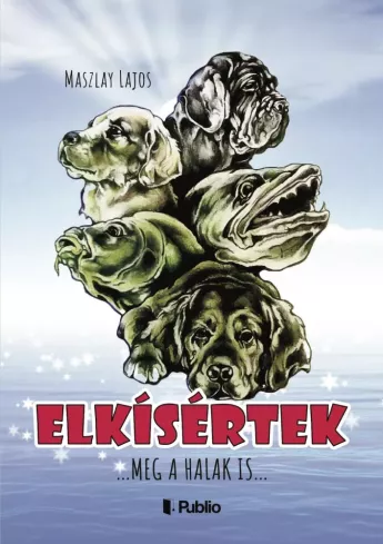 Elkísértek borító