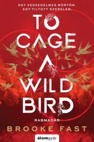 To Cage a Wild Bird – Rabmadár borító