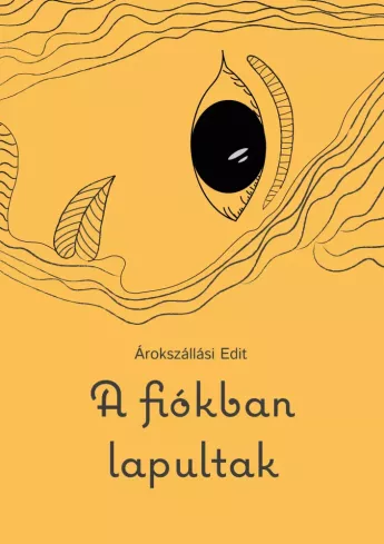 A fiókban lapultak borító