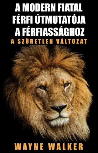 A modern fiatal férfi útmutatója a férfiassághoz borító