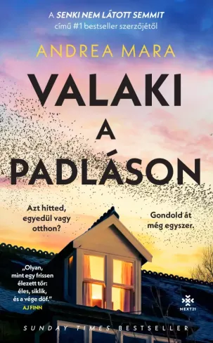 Valaki a padláson borító