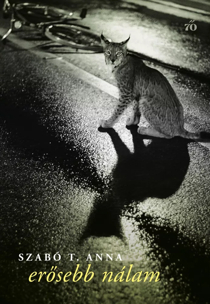 Erősebb nálam borító