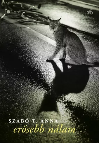 Erősebb nálam borító