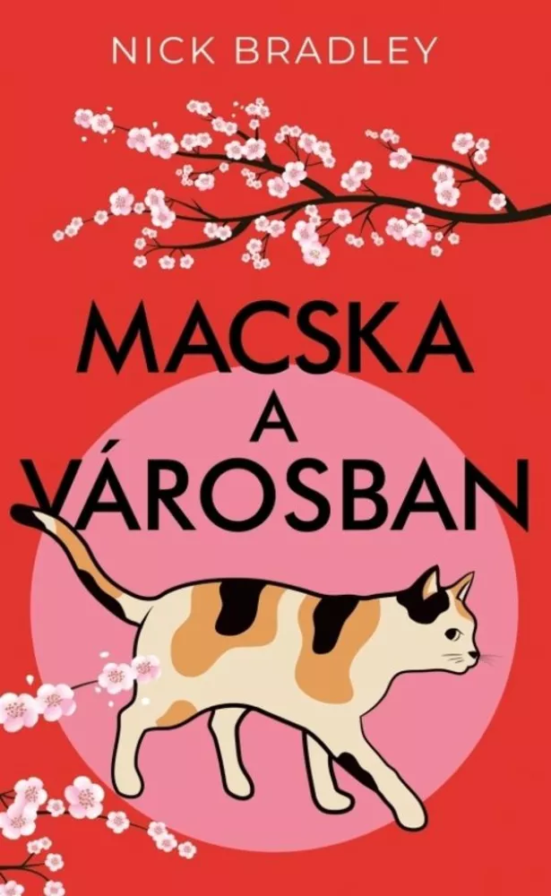 Macska a városban borító