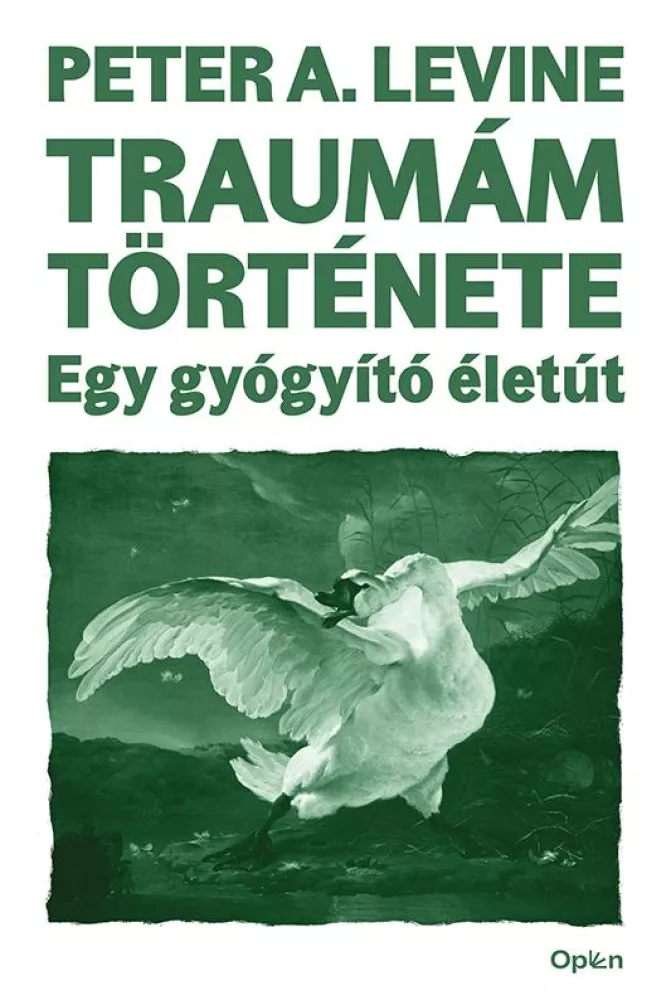 Traumám története borító