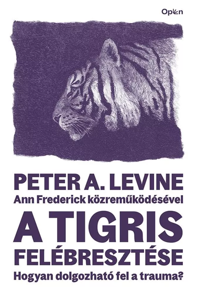 A tigris felébresztése borító