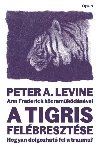 A tigris felébresztése borító