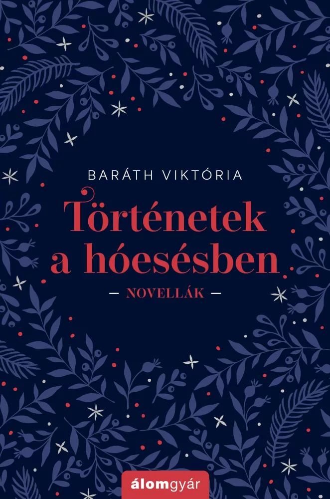 Történetek a hóesésben borító
