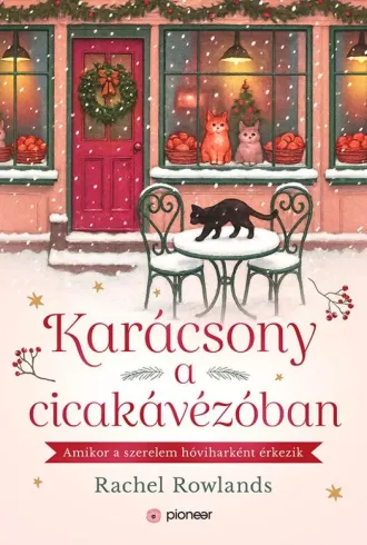 Karácsony a cicakávézóban borító