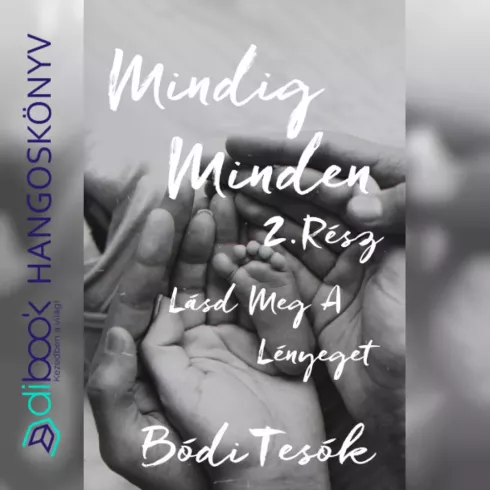 2. rész: Mindig minden úgy alakul, hogy neked a legjobb legyen! borító