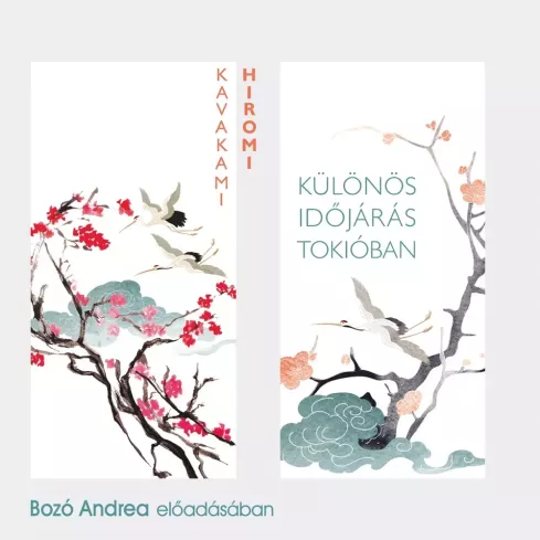 Különös időjárás Tokióban borító