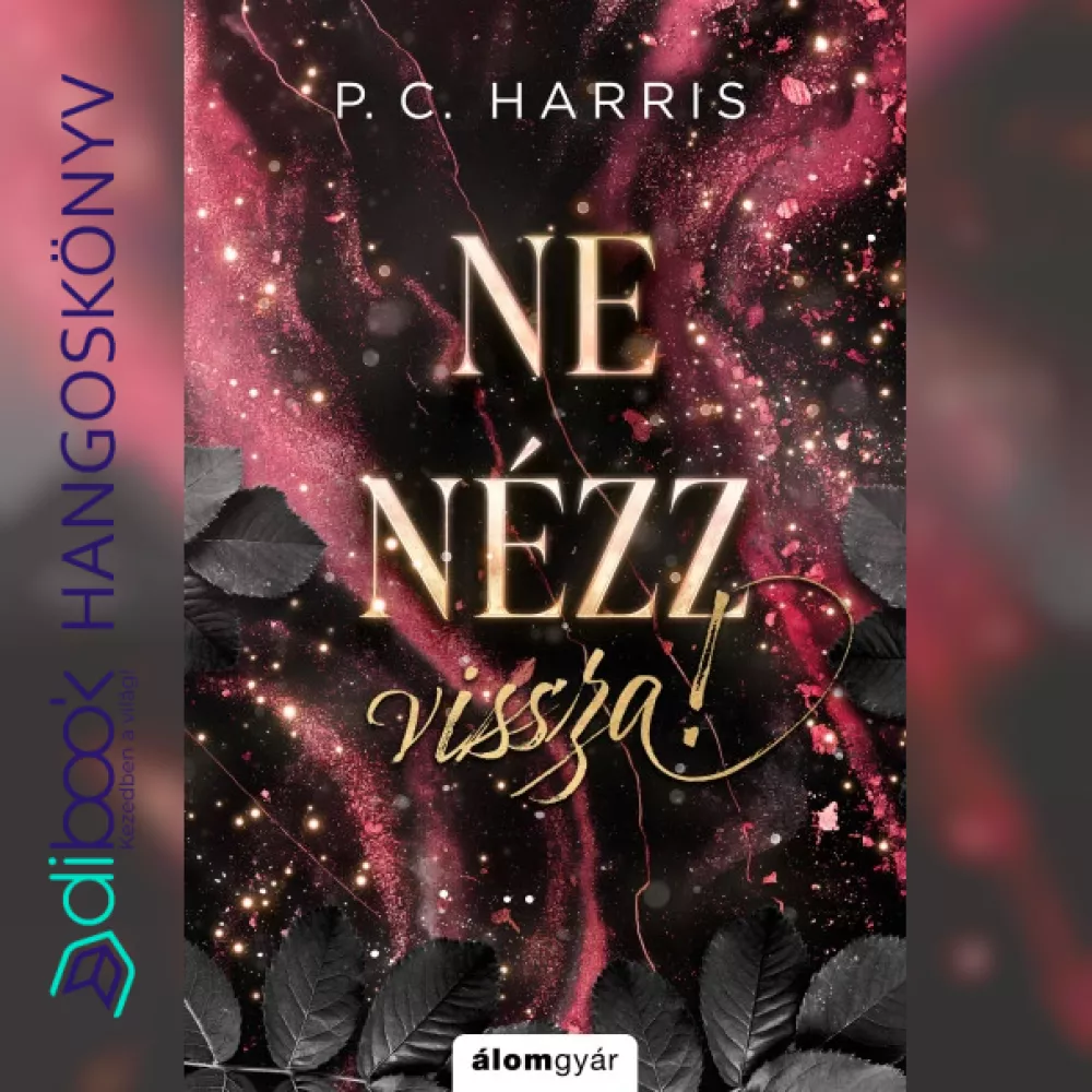 Ne nézz vissza borító