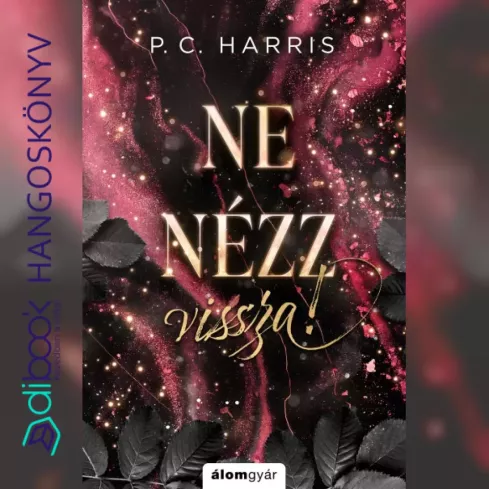 Ne nézz vissza borító