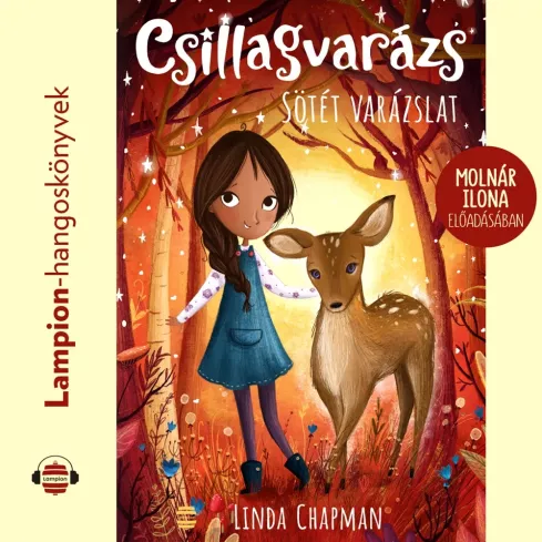 Csillagvarázs 4. borító