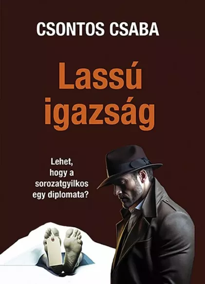 Lassú igazság borító