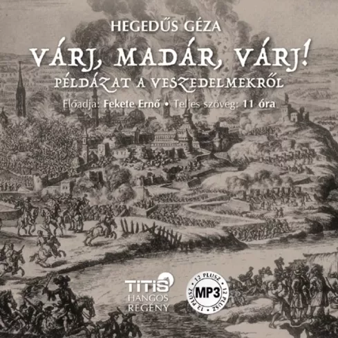 Várj, madár, várj... borító