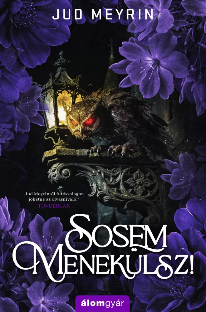 Sosem menekülsz! borító