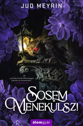 Sosem menekülsz! borító