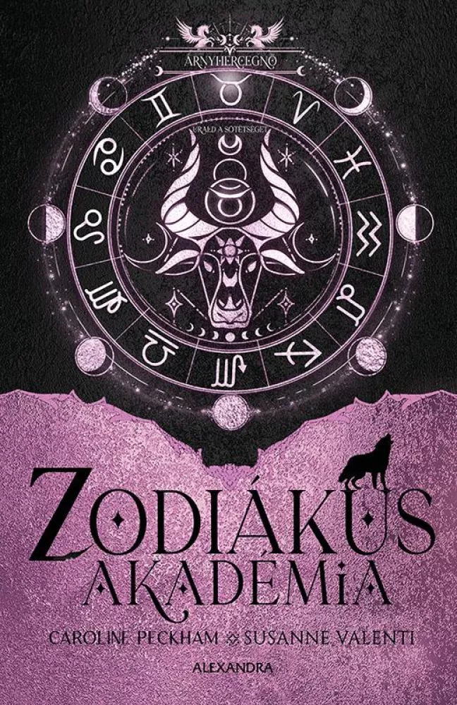 Árnyhercegnő borító