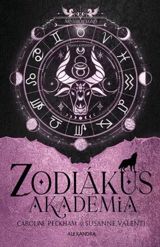 Árnyhercegnő borító