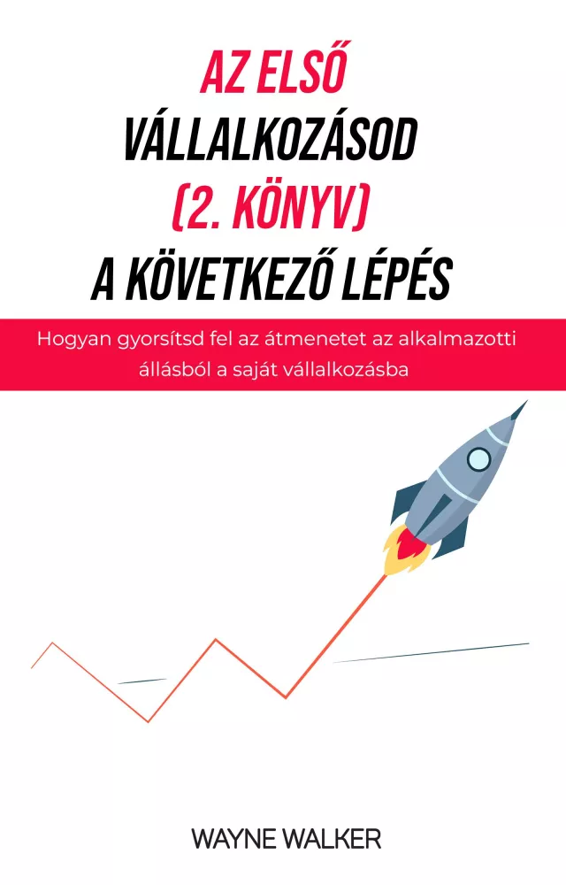 Az első vállalkozásod, a következő lépés borító