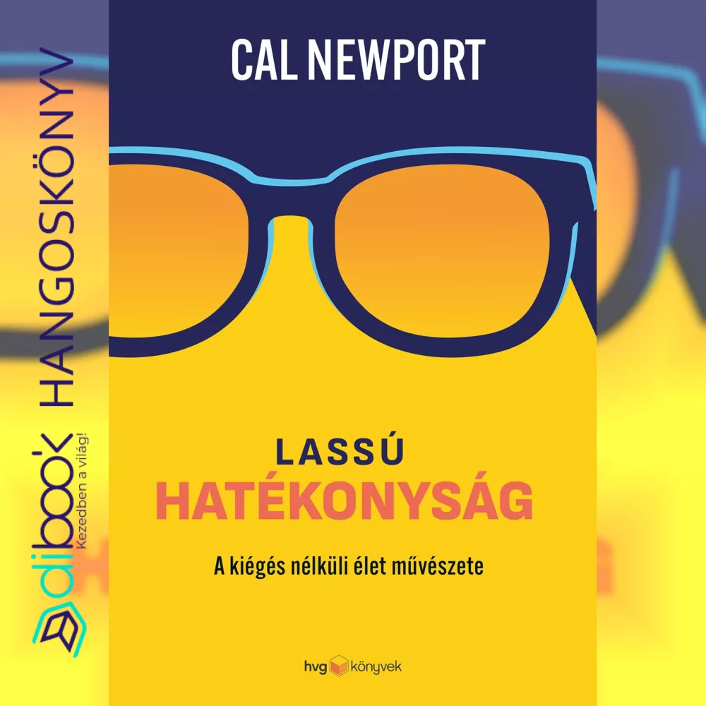 Lassú hatékonyság borító