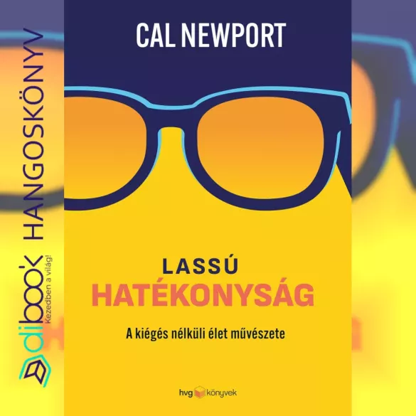 Lassú hatékonyság borító