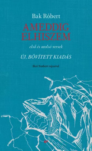 Ameddig elhiszem borító