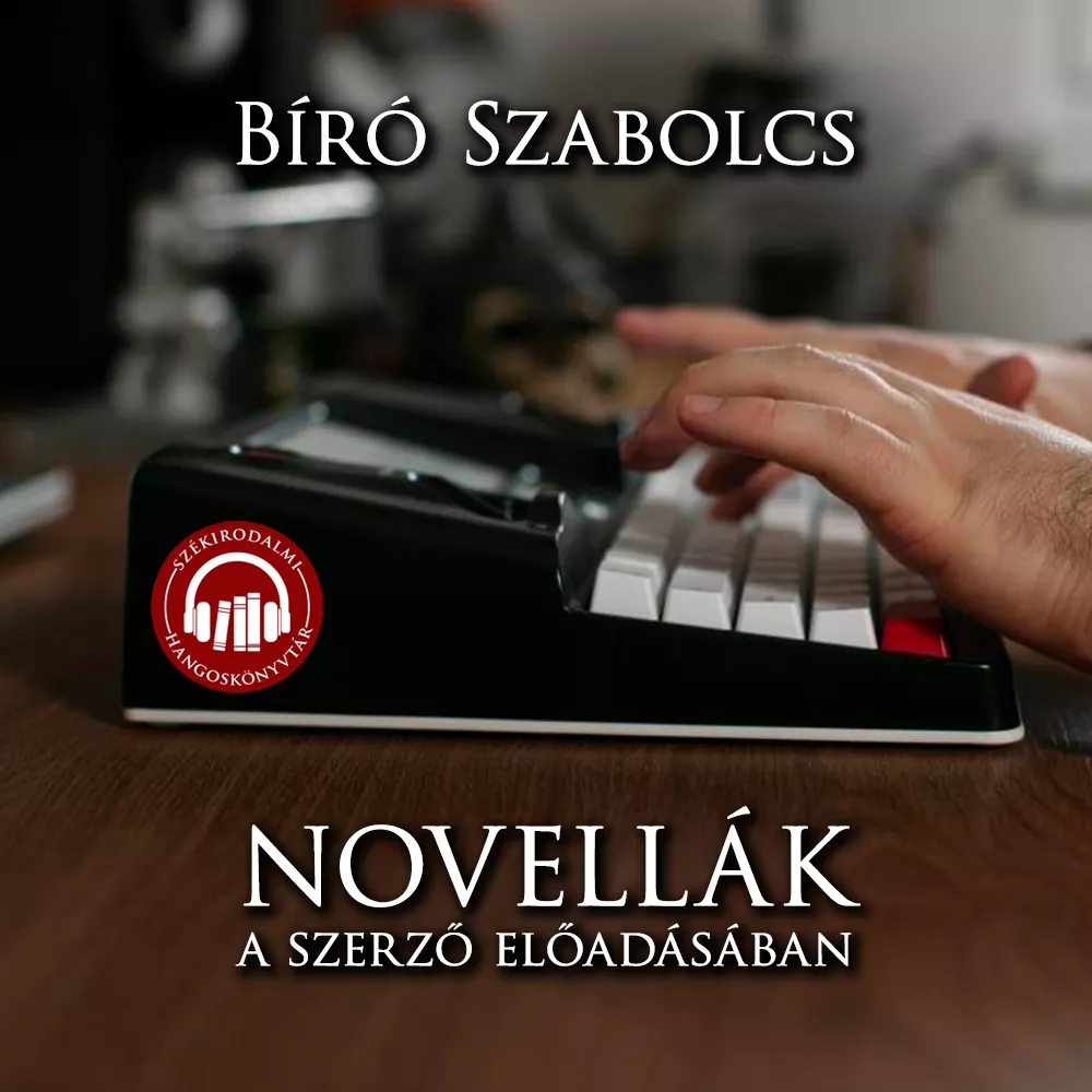Novellák borító