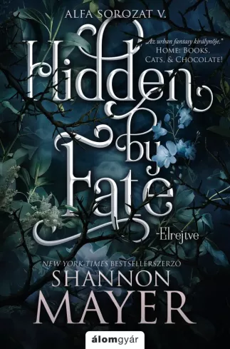 Hidden by fate – Elrejtve borító