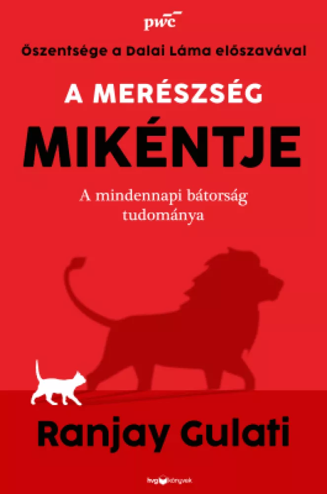 A merészség mikéntje borító