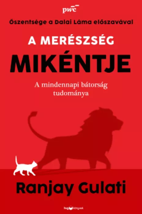 A merészség mikéntje borító