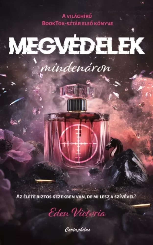Megvédelek mindenáron borító