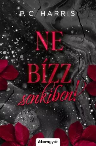 Ne bízz senkiben! borító