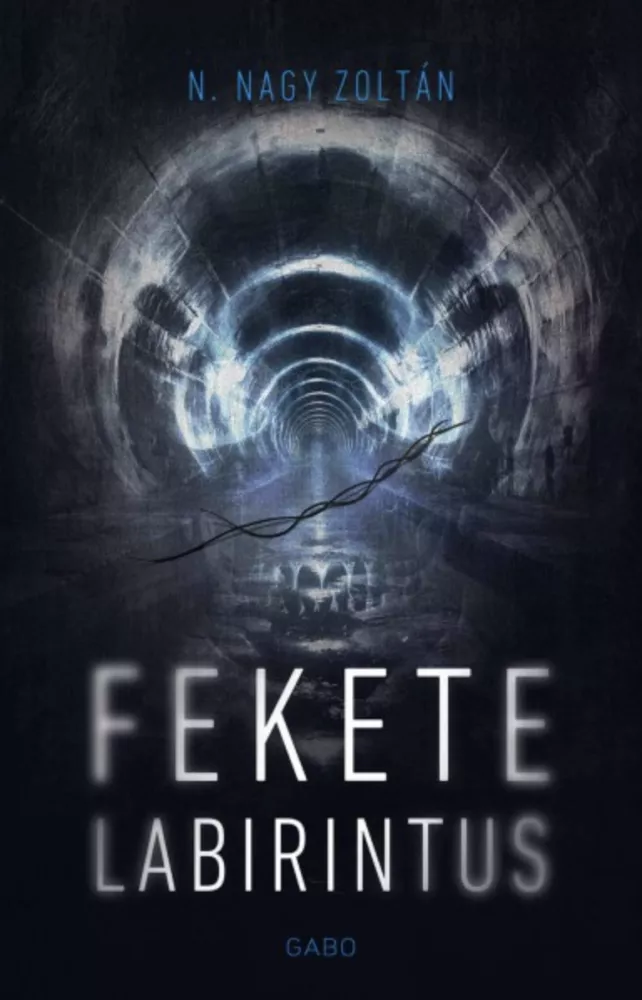 Fekete labirintus borító