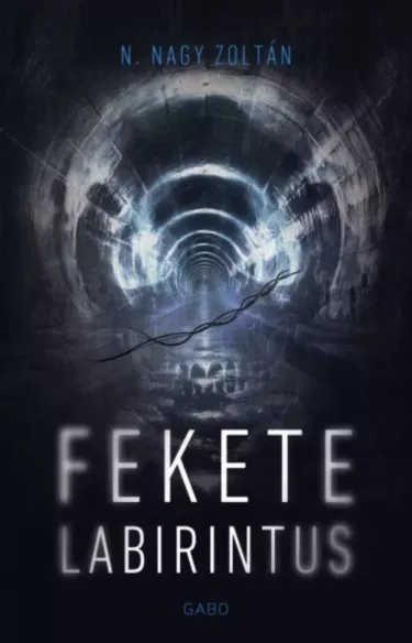 Fekete labirintus borító