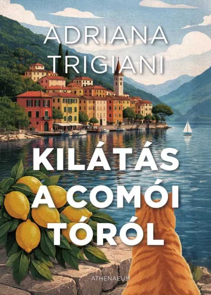 Kilátás a Comói tóról borító