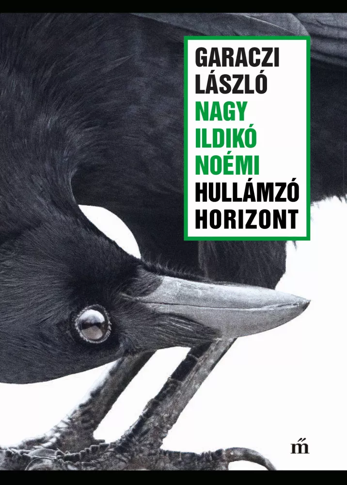 Hullámzó horizont borító