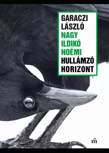 Hullámzó horizont borító